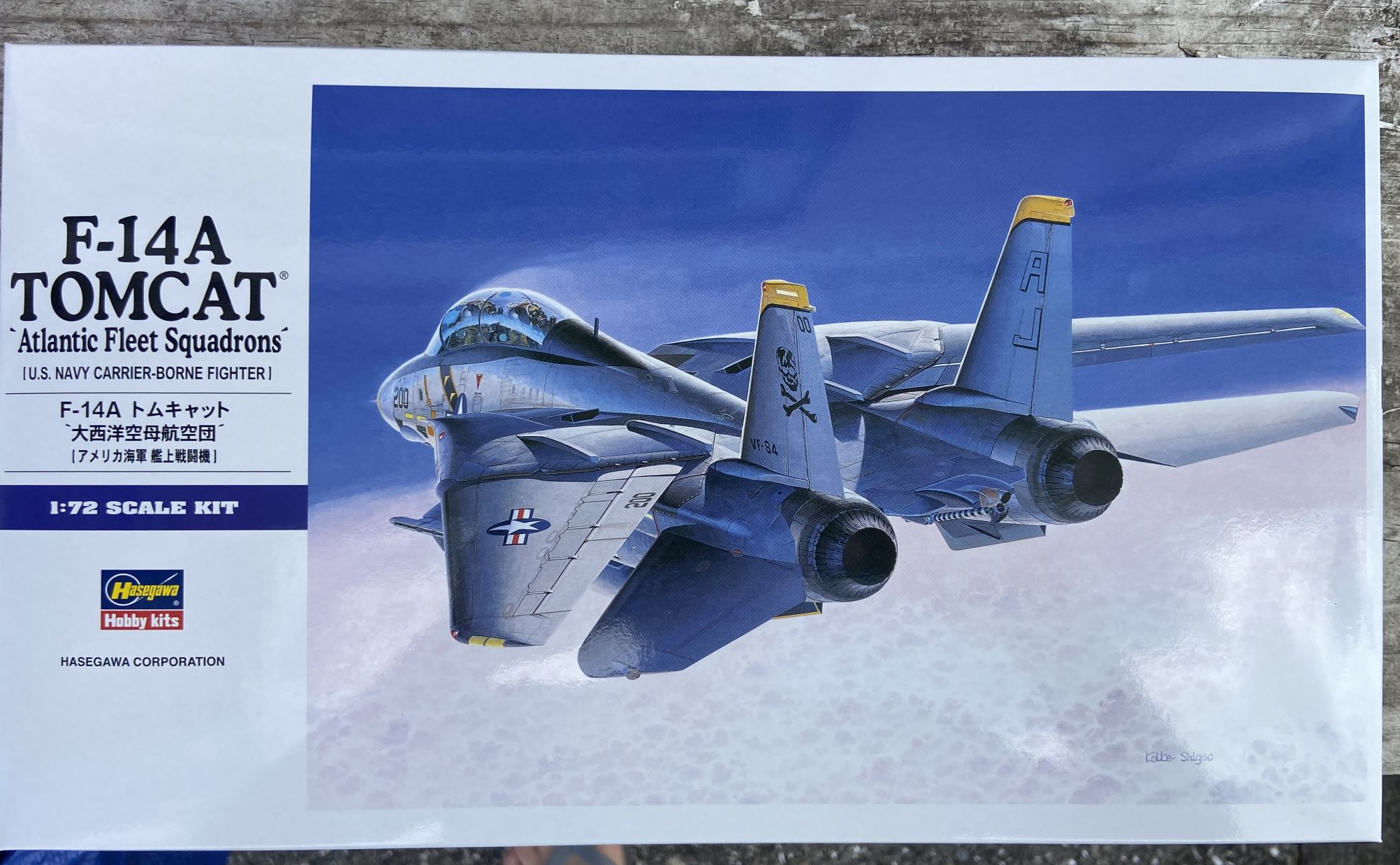 F-14A Tomcat `Atlantic Fleet Squadrons´ Hasegawa | No. 00544 | 1:72