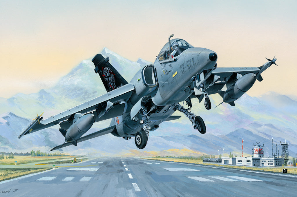 AMX Ground Attack Aircraft HobbyBoss | No. 81741 | 1:48