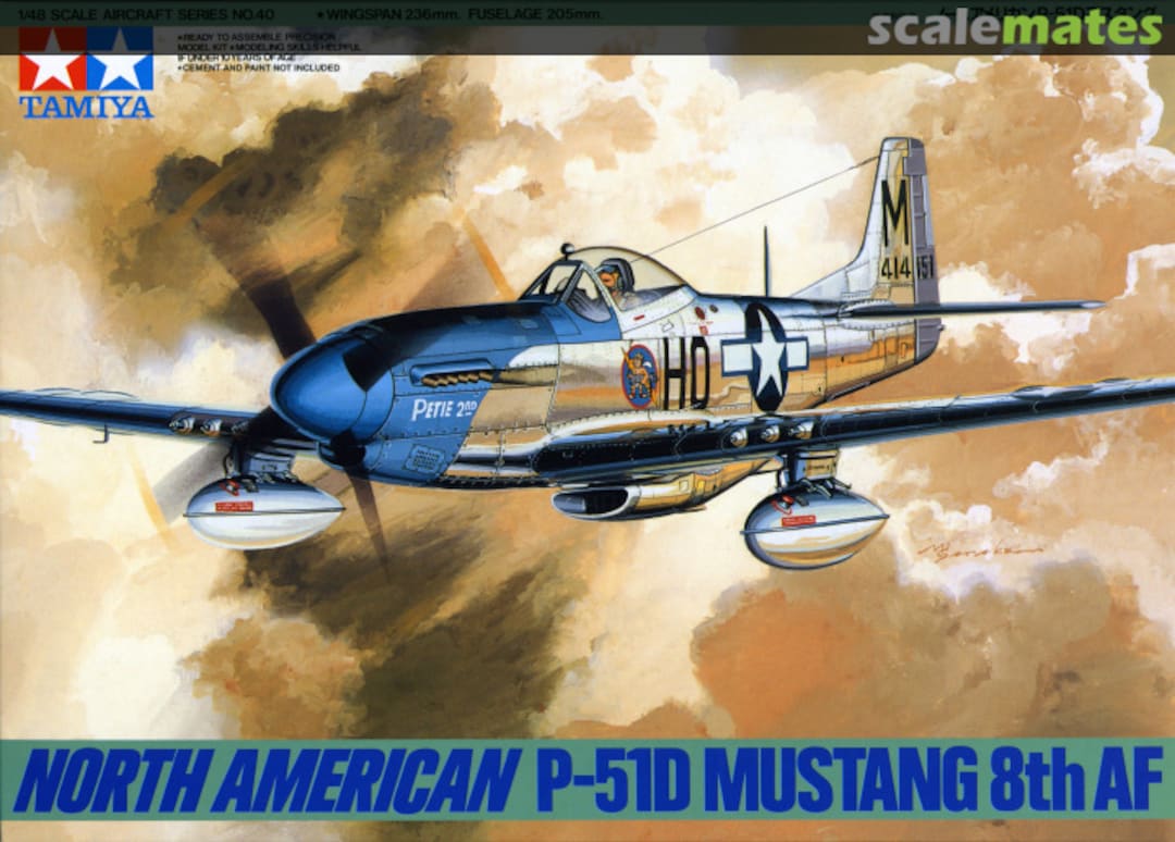 North American P-51D Mustang 8th AFTamiya | No. 61040 | 1:48